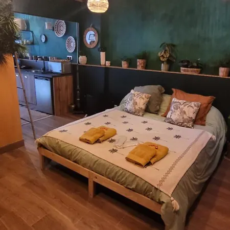 Amazo Nid Exotique Proche De Bordeaux Appartement
